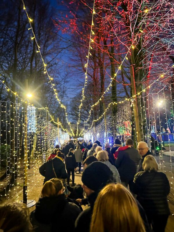 Chalets et installations techniques du marché de Noël de Barlin